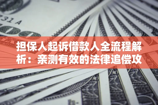 济南担保人起诉借款人全流程解析：亲测有效的法律追偿攻略