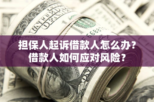 济南担保人起诉借款人怎么办？借款人如何应对风险？
